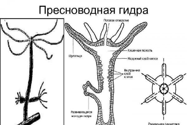 Кракен даркнет сайт на русском