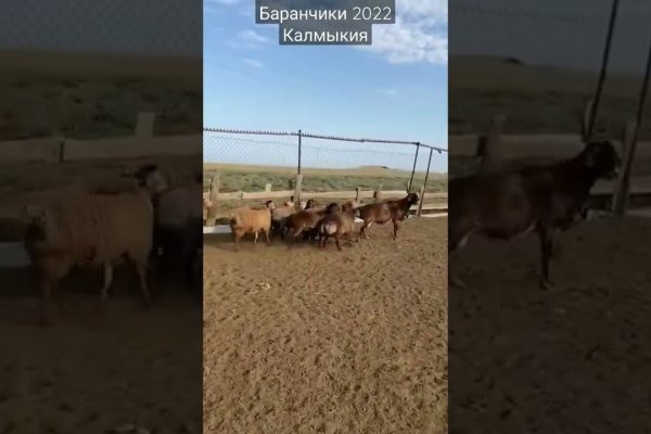 Кракен сайт в тор браузере ссылка