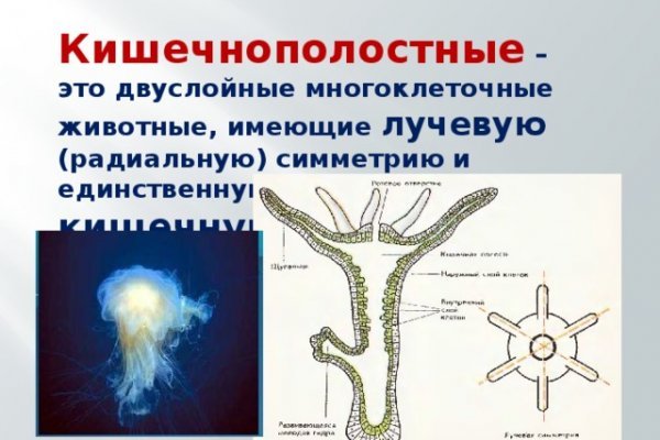 Как зайти в кракен с андроида